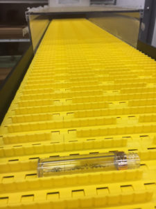 gradient cooler conveyor with hood