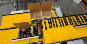 Cannabis Conveyor | Blunt Counting For Weed Packaging