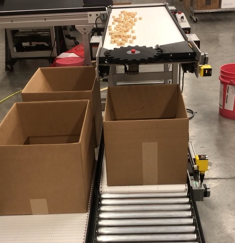 singulating counting packaging conveyor