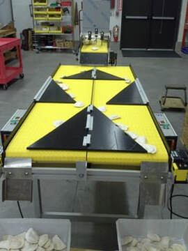 conveyor systems - USA Company manufacturing dual hopper counting conveyors