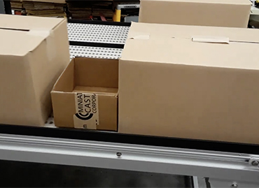 294) Multi lane accumulation packaging conveyor