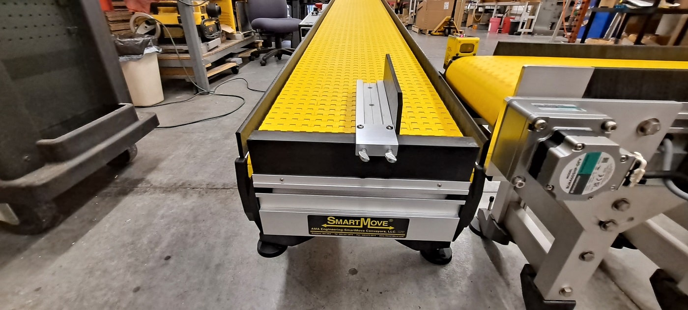 custom counting packaging conveyor