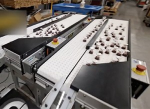 counting singulating accumulating conveyor system with e stop