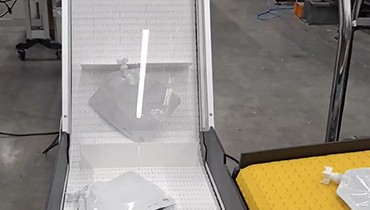 441) zx conveyor delivers pouches
