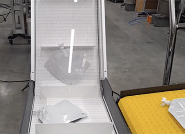 441) zx conveyor delivers pouches